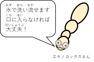 エキノコックスさん