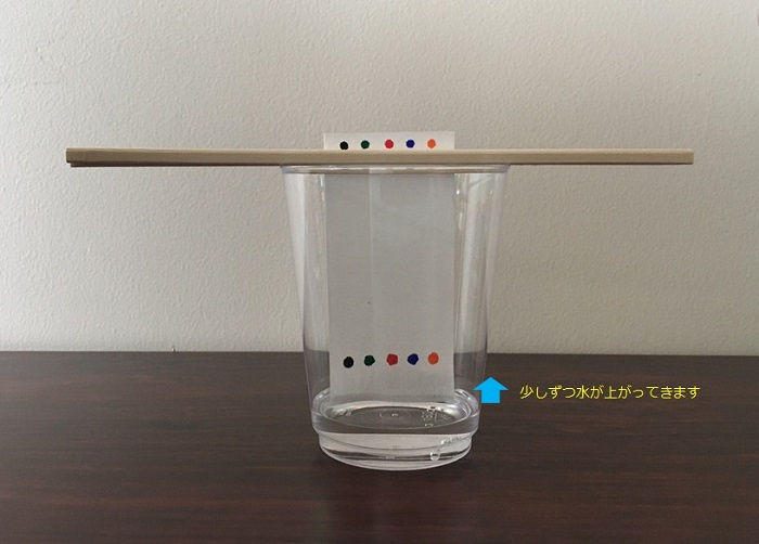 水が上がってきます1