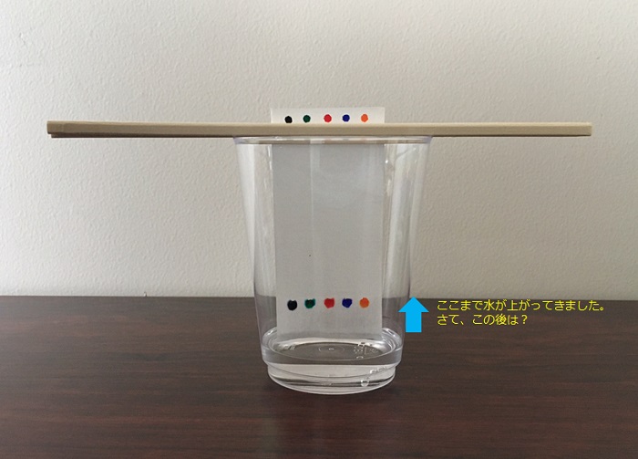 水が上がってきます2