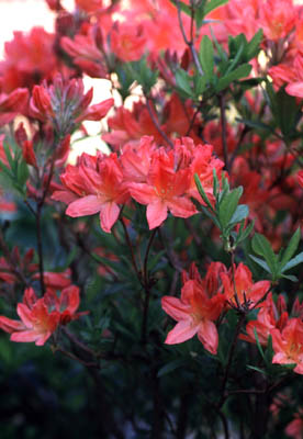 �����Q�c�c�W